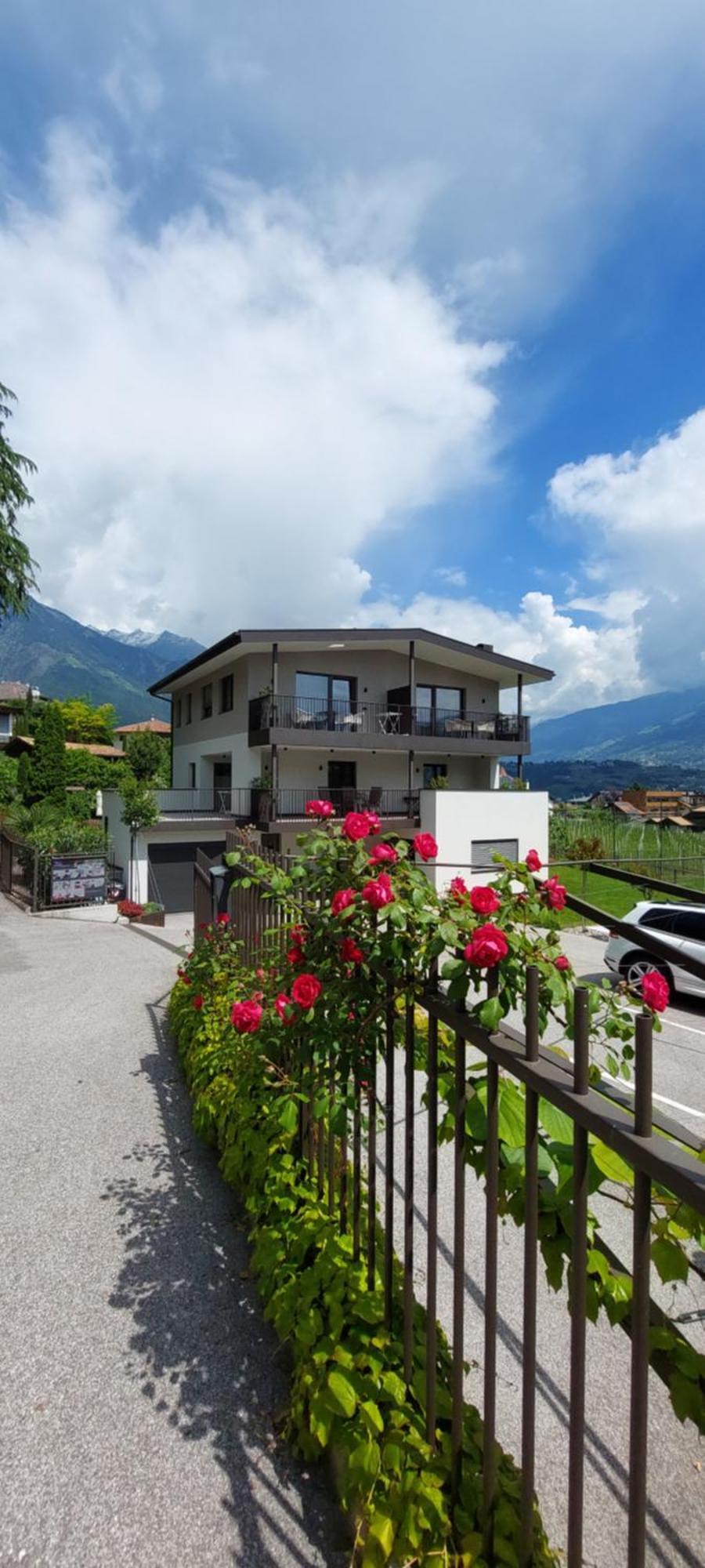 Marlingsuites - Vinea - Wieser Josef - Marling Exterior photo